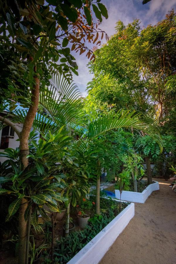 Comfort Beach Hotel Arugam Bay Exterior foto